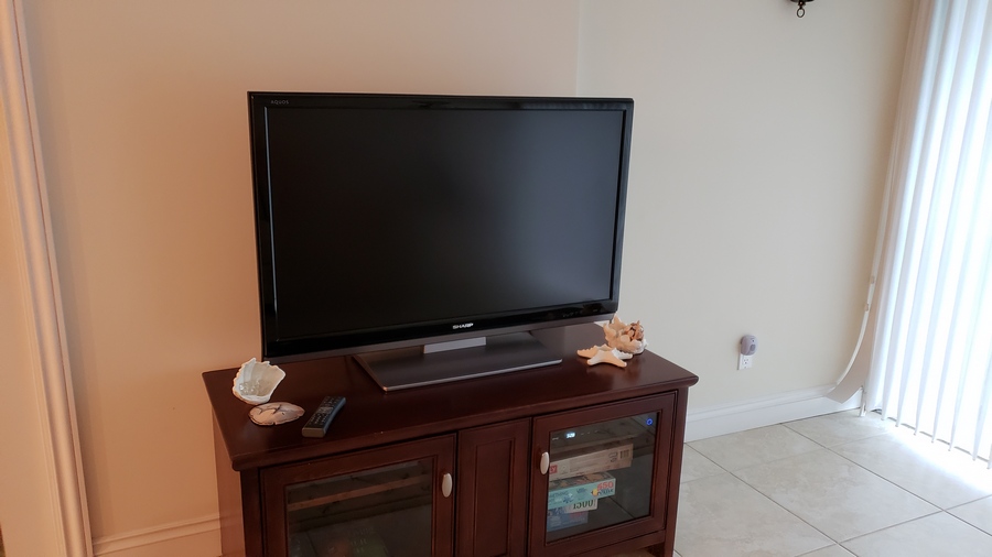 Living Room Television